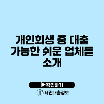 개인회생 중 대출 가능한 쉬운 업체들 소개