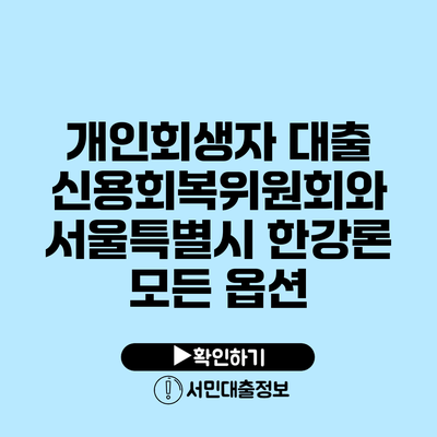 개인회생자 대출 신용회복위원회와 서울특별시 한강론 모든 옵션