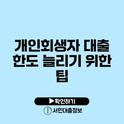 개인회생자 대출 한도 늘리기 위한 팁