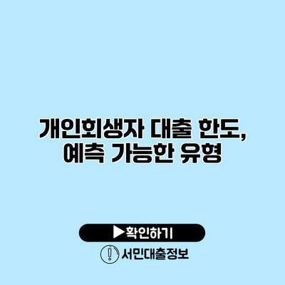 개인회생자 대출 한도, 예측 가능한 유형