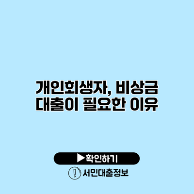 개인회생자, 비상금 대출이 필요한 이유