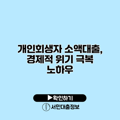 개인회생자 소액대출, 경제적 위기 극복 노하우