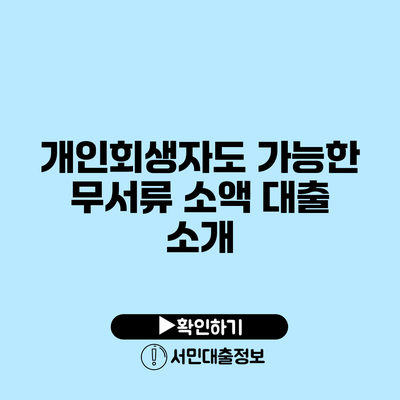 개인회생자도 가능한 무서류 소액 대출 소개
