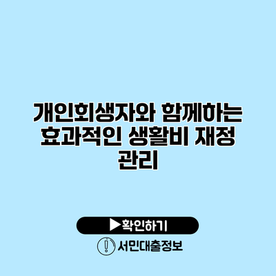 개인회생자와 함께하는 효과적인 생활비 재정 관리