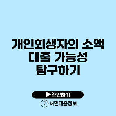 개인회생자의 소액 대출 가능성 탐구하기