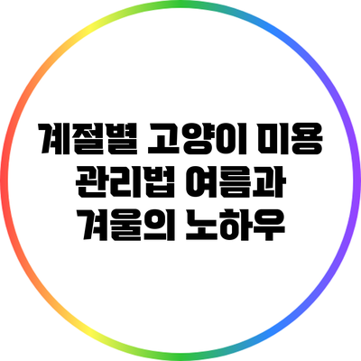 계절별 고양이 미용 관리법: 여름과 겨울의 노하우