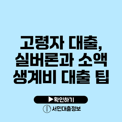 고령자 대출, 실버론과 소액 생계비 대출 팁