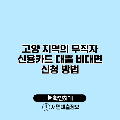 고양 지역의 무직자 신용카드 대출 비대면 신청 방법