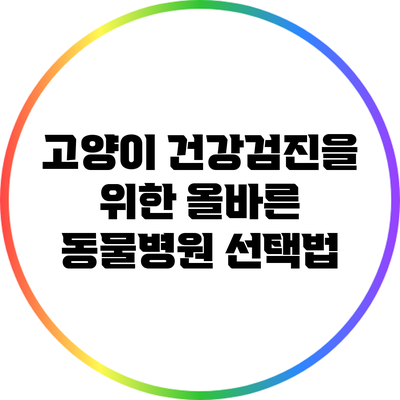 고양이 건강검진을 위한 올바른 동물병원 선택법