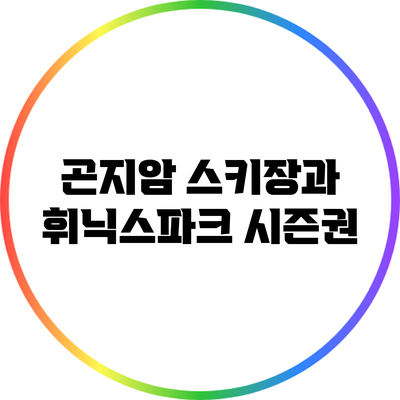 곤지암 스키장과 휘닉스파크 시즌권