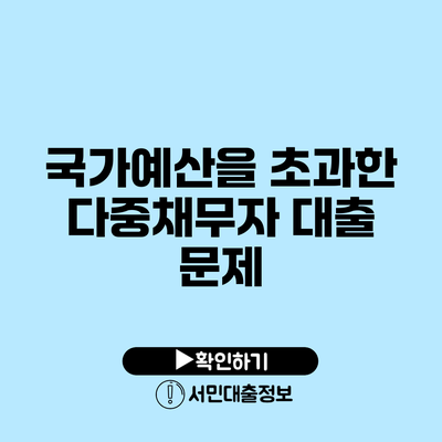 국가예산을 초과한 다중채무자 대출 문제