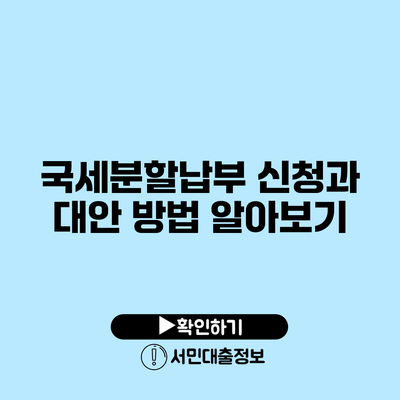 국세분할납부 신청과 대안 방법 알아보기