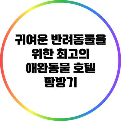 귀여운 반려동물을 위한 최고의 애완동물 호텔 탐방기