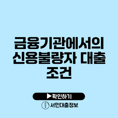 금융기관에서의 신용불량자 대출 조건