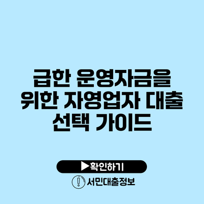 급한 운영자금을 위한 자영업자 대출 선택 가이드