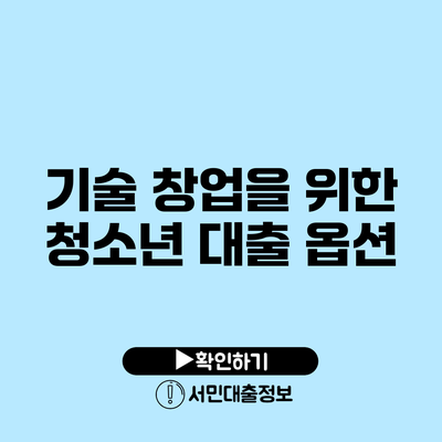 기술 창업을 위한 청소년 대출 옵션