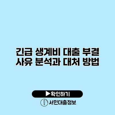 긴급 생계비 대출 부결 사유 분석과 대처 방법