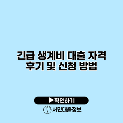 긴급 생계비 대출 자격 후기 및 신청 방법
