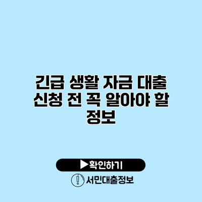 긴급 생활 자금 대출 신청 전 꼭 알아야 할 정보