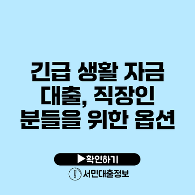긴급 생활 자금 대출, 직장인 분들을 위한 옵션