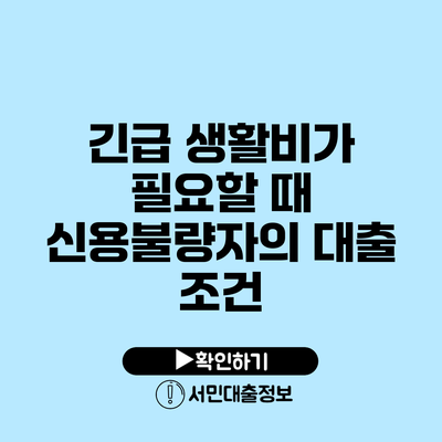긴급 생활비가 필요할 때 신용불량자의 대출 조건