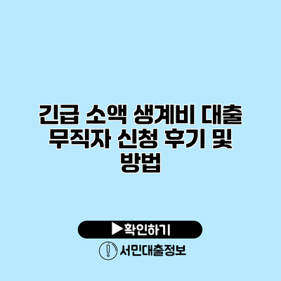 긴급 소액 생계비 대출: 무직자 신청 후기 및 방법