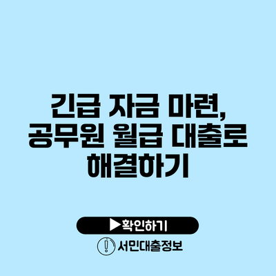 긴급 자금 마련, 공무원 월급 대출로 해결하기