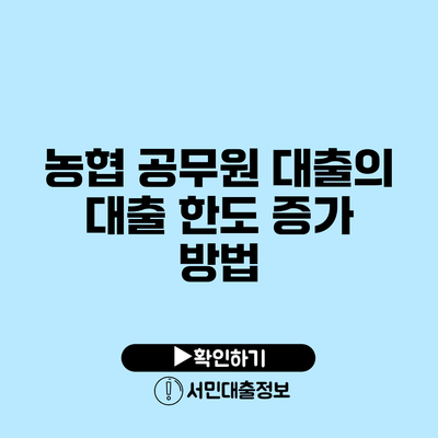 농협 공무원 대출의 대출 한도 증가 방법