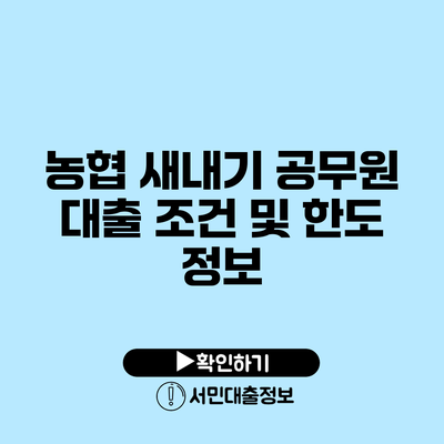 농협 새내기 공무원 대출 조건 및 한도 정보