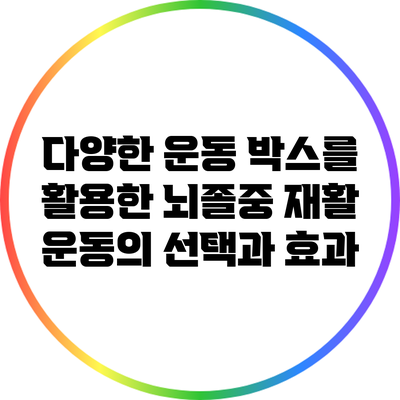 다양한 운동 박스를 활용한 뇌졸중 재활 운동의 선택과 효과