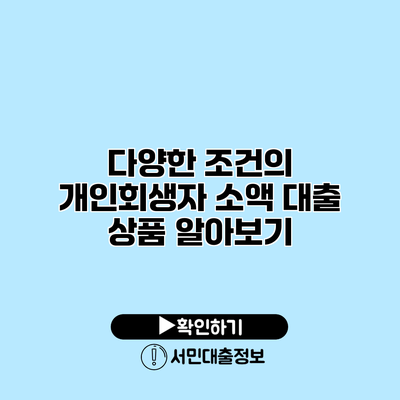다양한 조건의 개인회생자 소액 대출 상품 알아보기