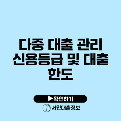 다중 대출 관리: 신용등급 및 대출 한도