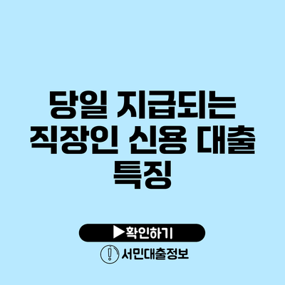 당일 지급되는 직장인 신용 대출 특징