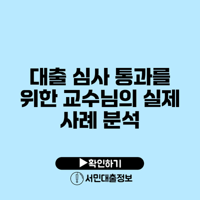 대출 심사 통과를 위한 교수님의 실제 사례 분석