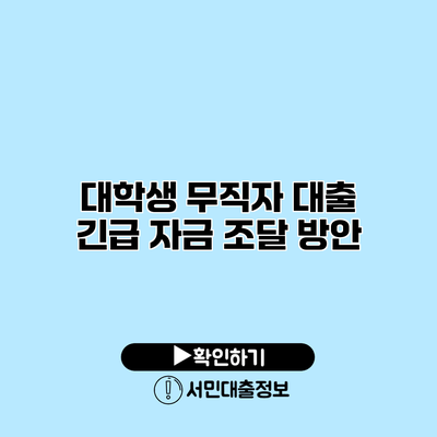 대학생 무직자 대출: 긴급 자금 조달 방안