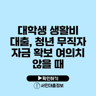 대학생 생활비 대출, 청년 무직자 자금 확보 여의치 않을 때