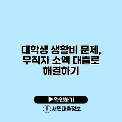 대학생 생활비 문제, 무직자 소액 대출로 해결하기