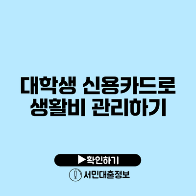 대학생 신용카드로 생활비 관리하기