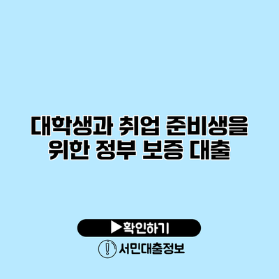 대학생과 취업 준비생을 위한 정부 보증 대출