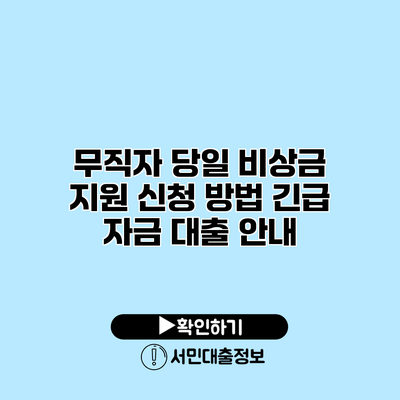 무직자 당일 비상금 지원 신청 방법: 긴급 자금 대출 안내
