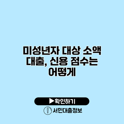 미성년자 대상 소액 대출, 신용 점수는 어떻게?