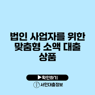 법인 사업자를 위한 맞춤형 소액 대출 상품
