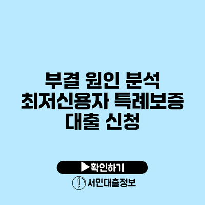 부결 원인 분석: 최저신용자 특례보증 대출 신청
