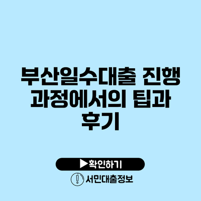 부산일수대출: 진행 과정에서의 팁과 후기