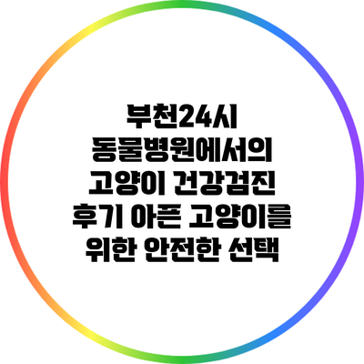 부천24시 동물병원에서의 고양이 건강검진 후기: 아픈 고양이를 위한 안전한 선택