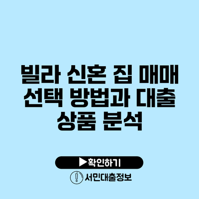빌라 신혼 집 매매 선택 방법과 대출 상품 분석