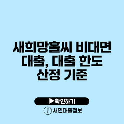 새희망홀씨 비대면 대출, 대출 한도 산정 기준