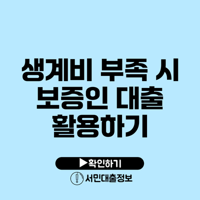 생계비 부족 시 보증인 대출 활용하기