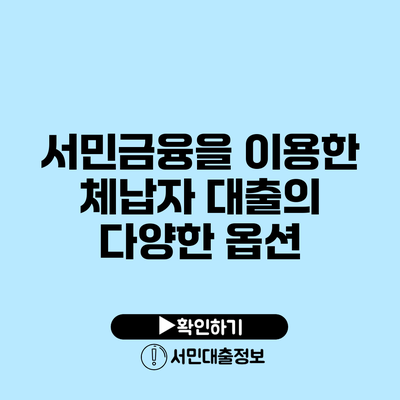 서민금융을 이용한 체납자 대출의 다양한 옵션