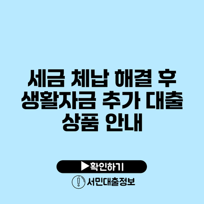 세금 체납 해결 후 생활자금 추가 대출 상품 안내